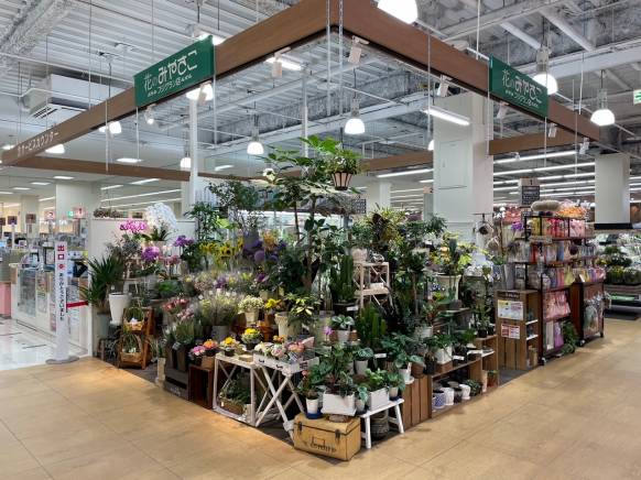 広島県東広島市の花屋 花のみやさこにフラワーギフトはお任せください 当店は 安心と信頼の花キューピット加盟店です 花キューピットタウン
